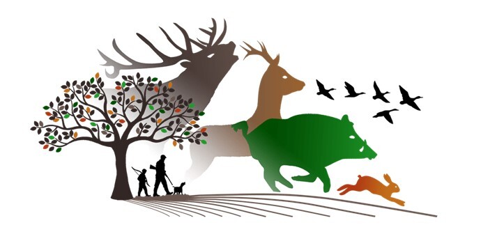 chasse