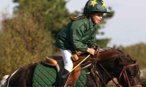 centre equestre